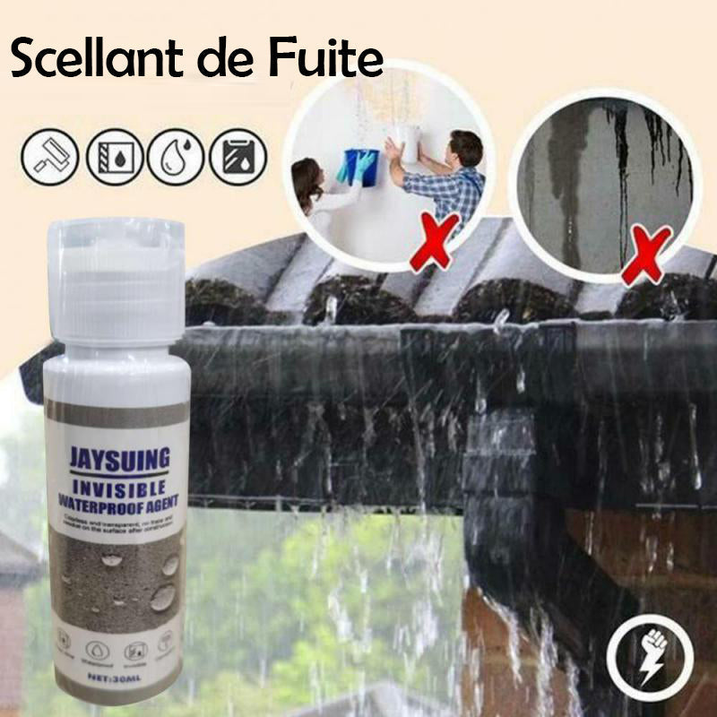 Spray de Réparation de Fuite